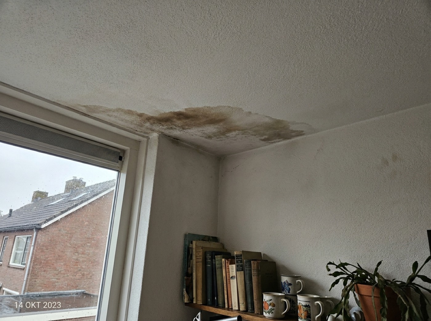 Daklekkage & spoed in de regio Den Bosch — Spoed Dak Service