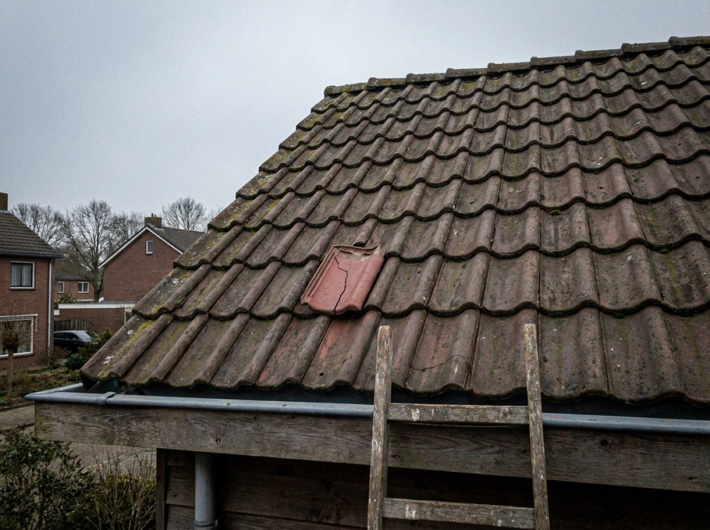 Dakpannen vervangen in de regio Den Bosch — Spoed Dak Service