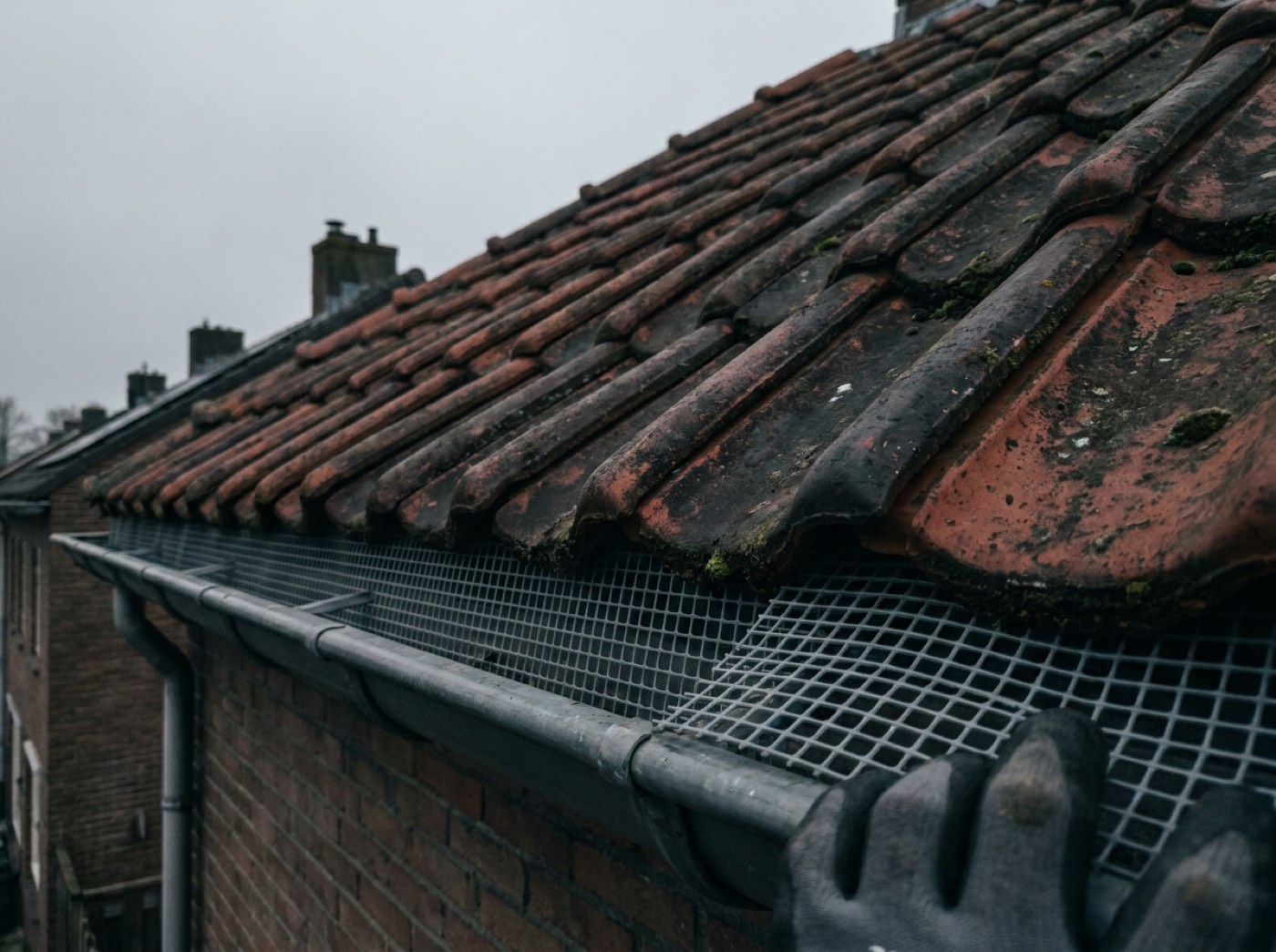 Vogelwering in de regio Den Bosch — Spoed Dak Service